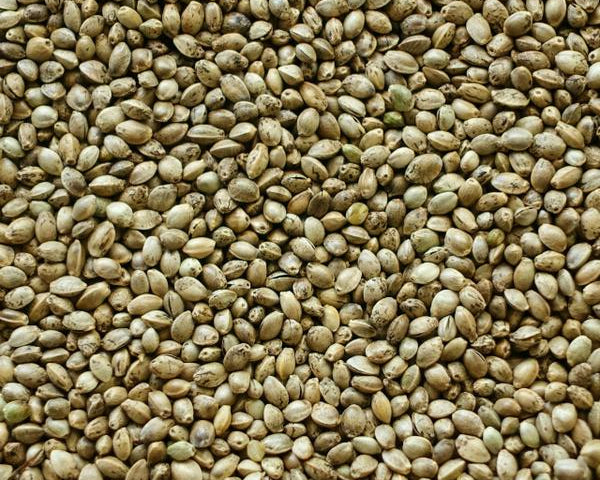 9 Best Gluten-Free Grains and Seeds