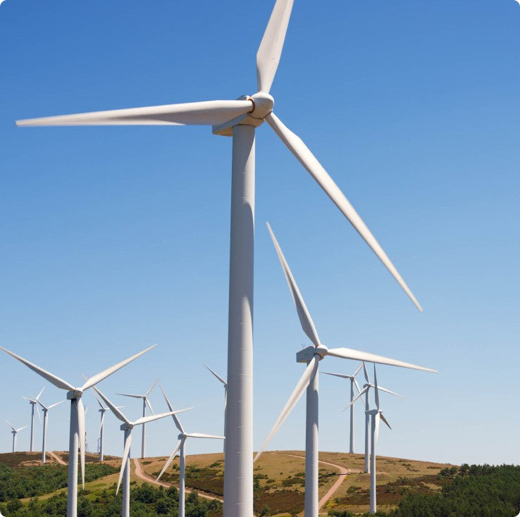 GoMacro green energy