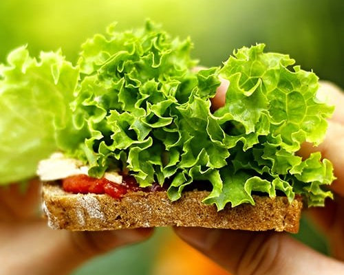 10 Best Vegan Tips for World Vegan Day