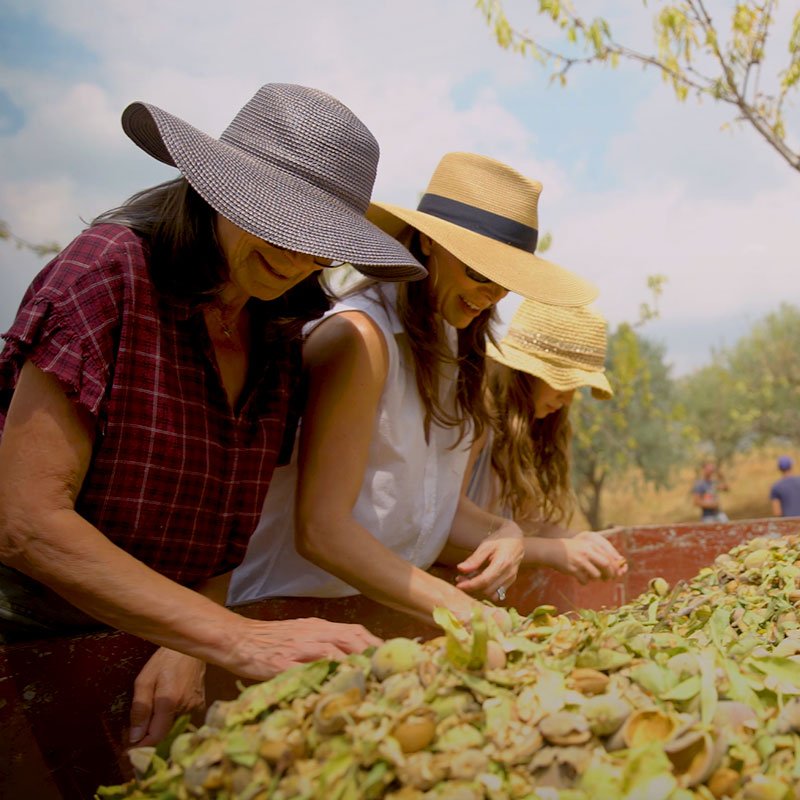 Sustainably Grown Almonds – GoMacro