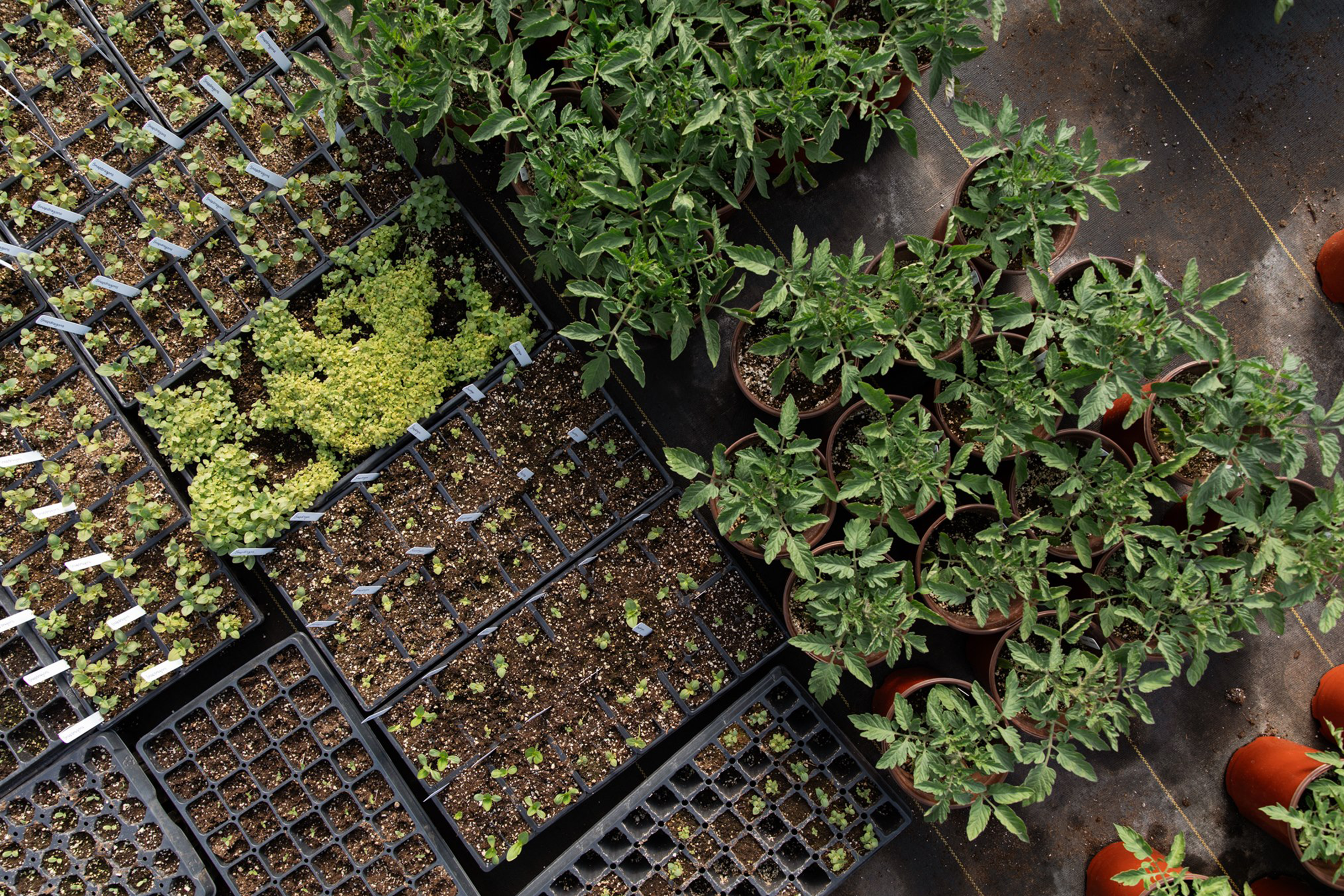 The Environmental Impact of Organic + Clean Farming