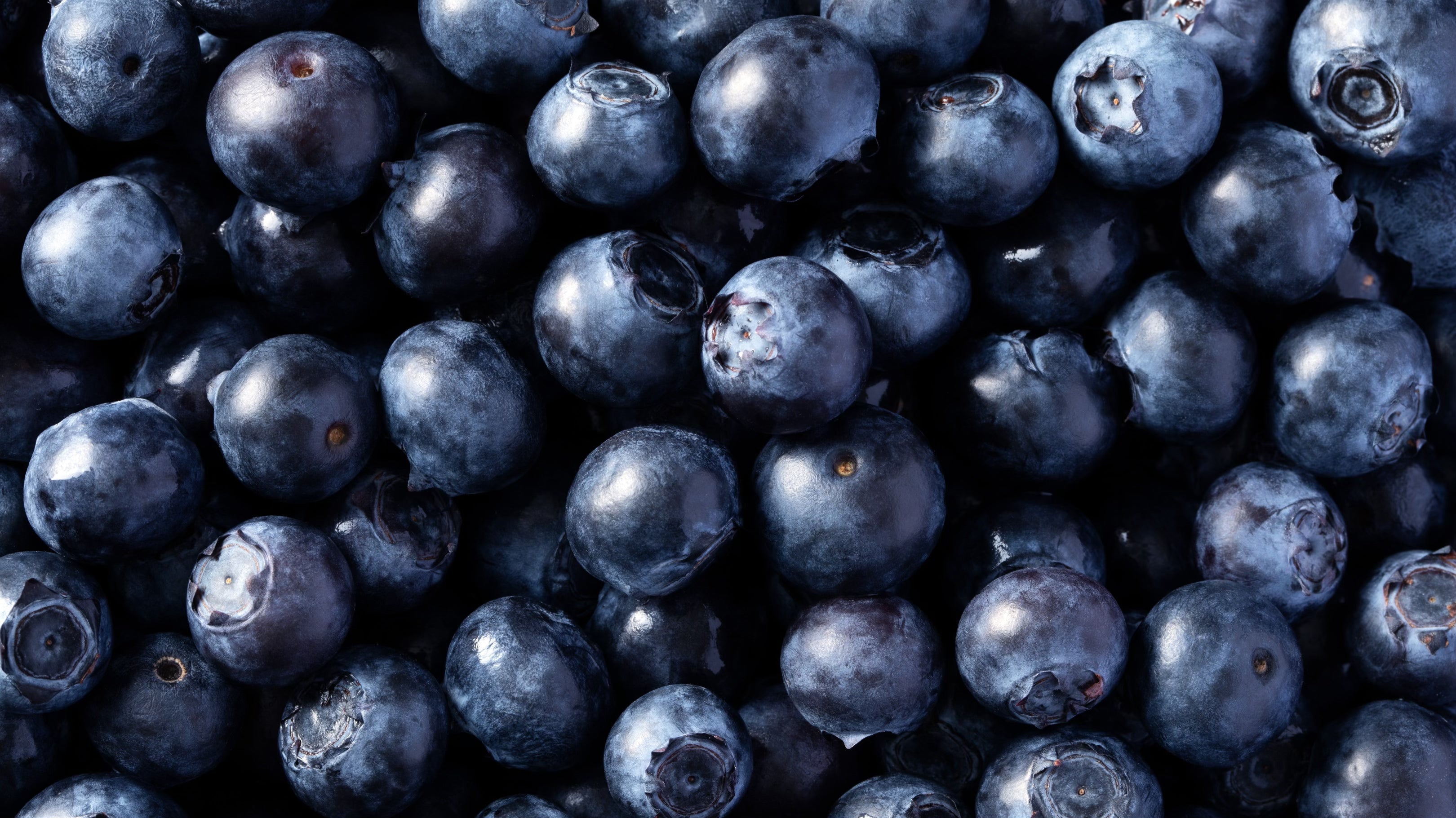 Non-GMO vs. Organic: What’s the Difference?