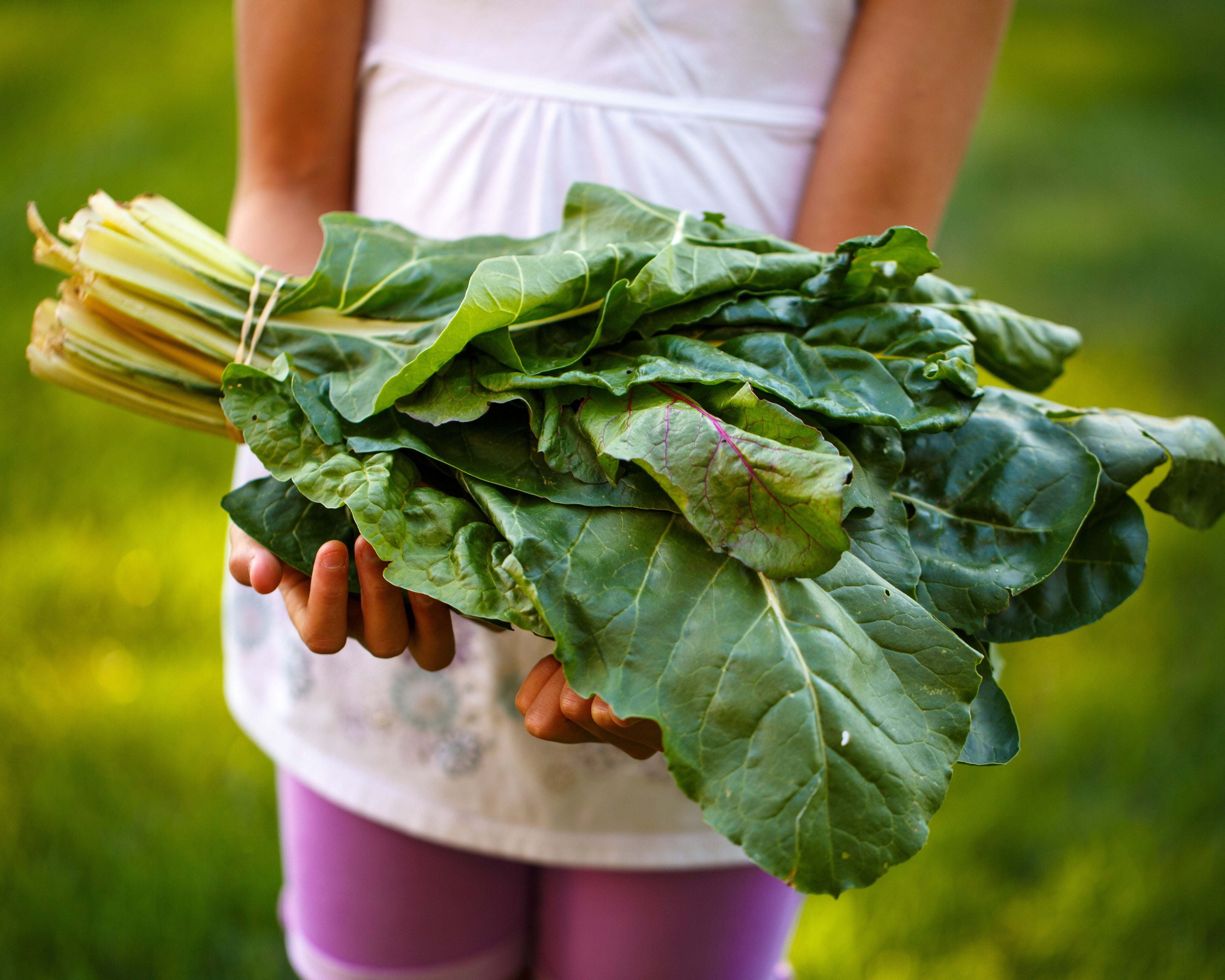 How to Reduce Food Waste on a Plant-Based Diet