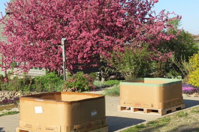 GoMacro Summer Upcycling on the GoMacro Farm!