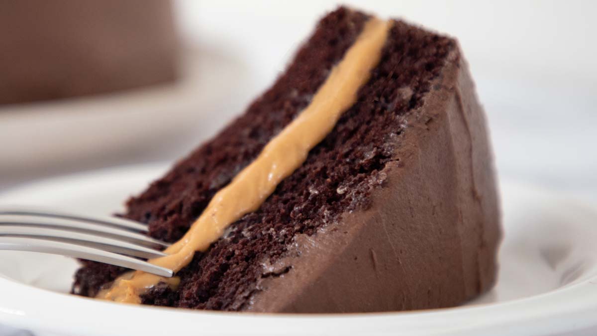 Vegan Chocolate Cake