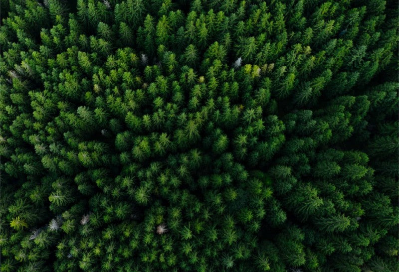 GoMacro carbon neutral