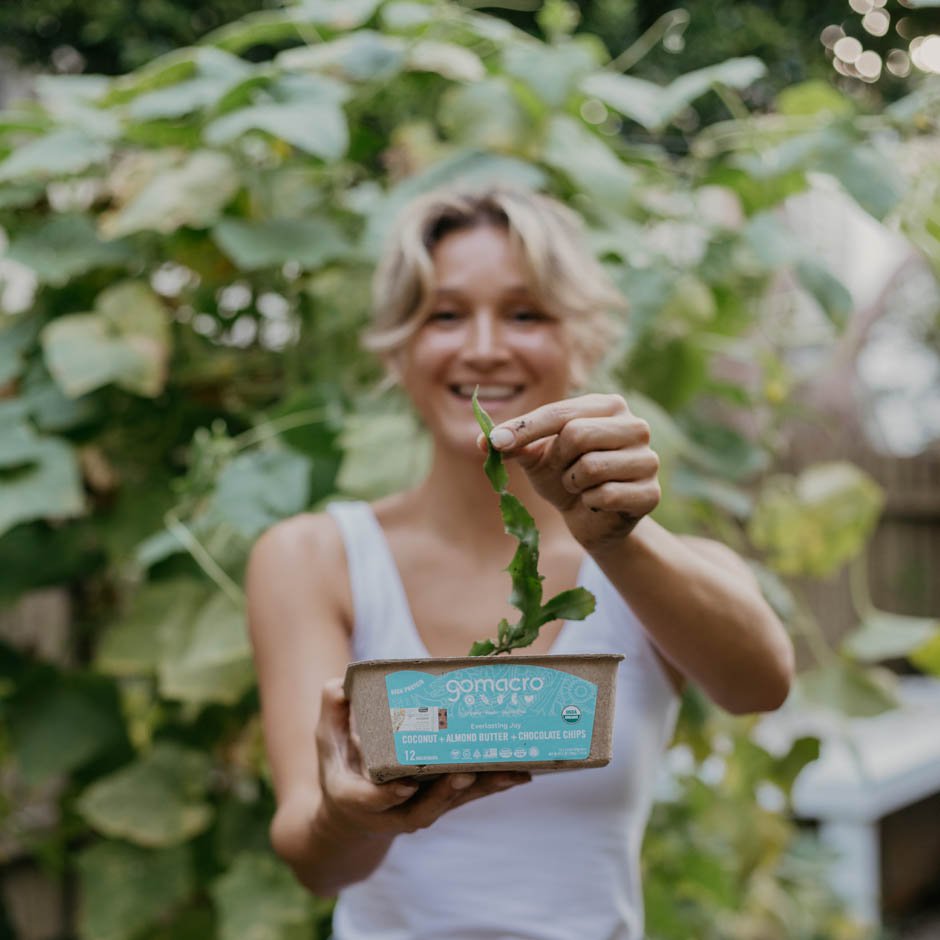 Plant growing in GoMacro's compostable packaging tray